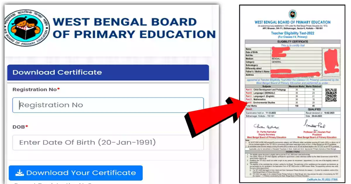 Primary tet certificate download